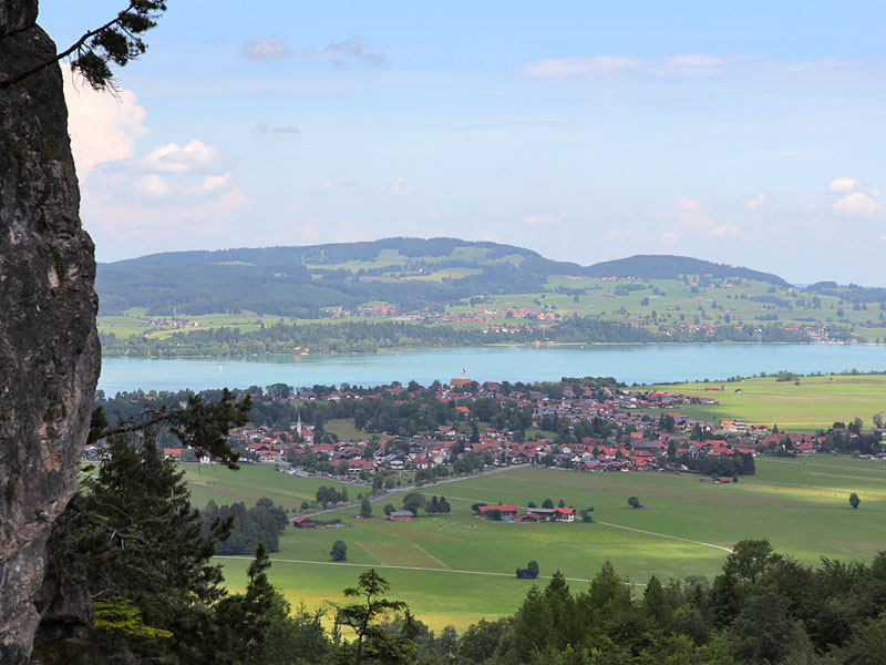 ������� ���������: ����������� ����. ������������