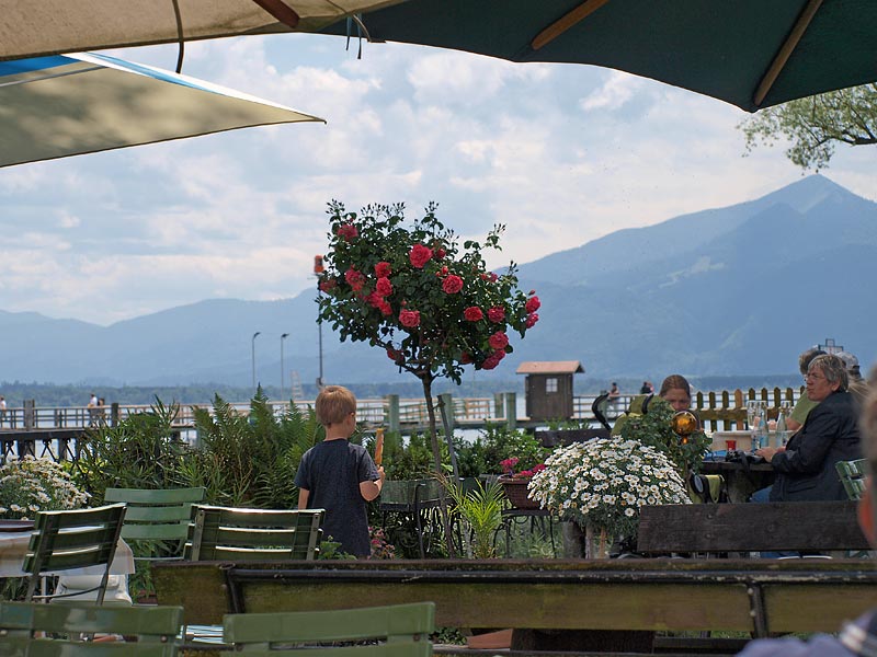 ������� ���������: ���� � ����!. ����� ������