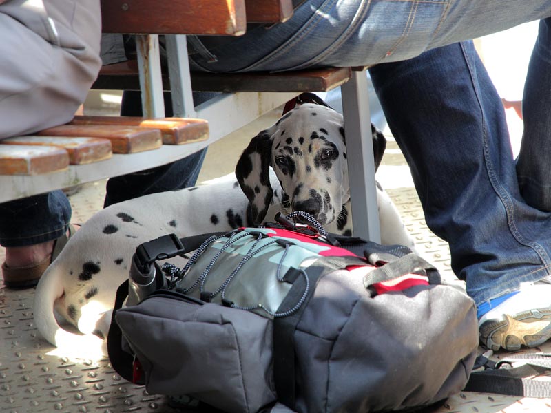 ������� ���������: ������, ��� ������. ���� �����