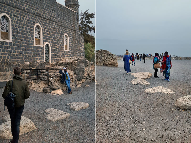 ������� ���������: ������ �������. ����������� ����