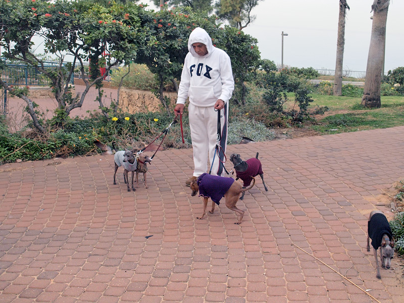 ������� ���������: �������������� �� �������. ���� �� ���������