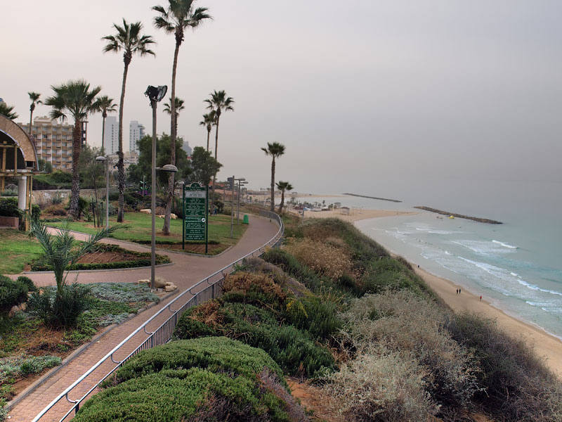 ������� ���������: ����������� ����������. �����