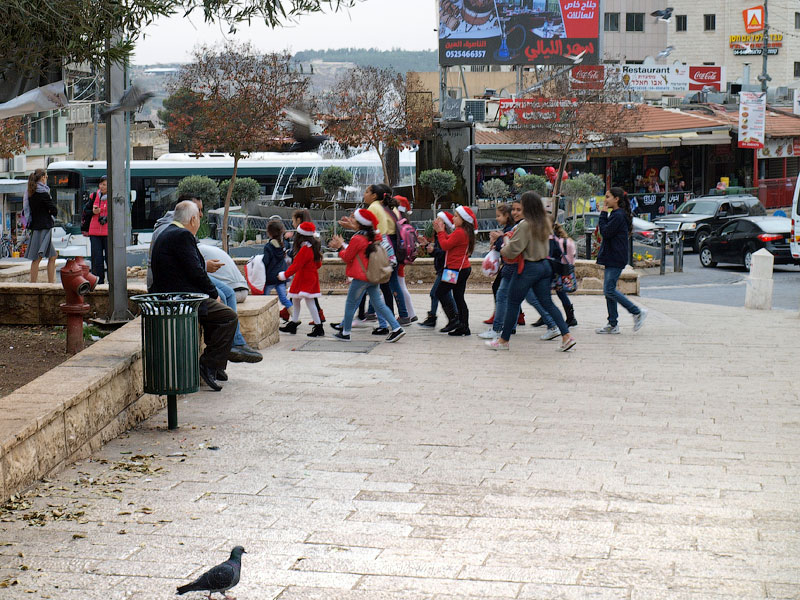 ������� ���������: ����� ������. �������