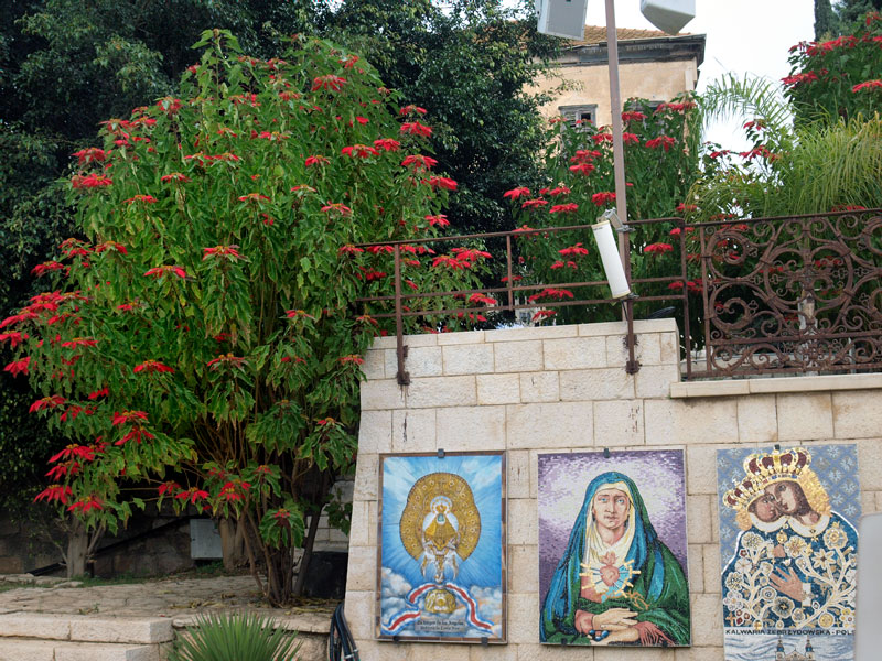 ������� ���������: �������������� ������. ���������