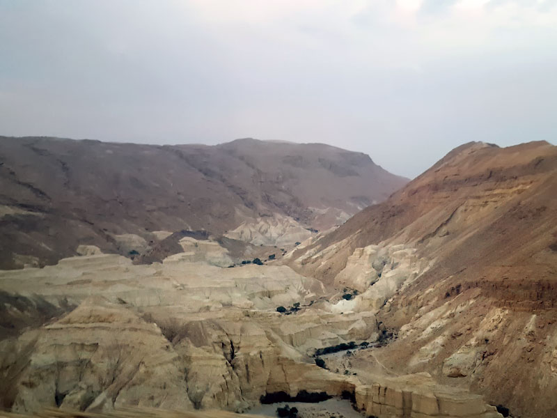 ������� ���������: � ������� � ��������. ������ �����