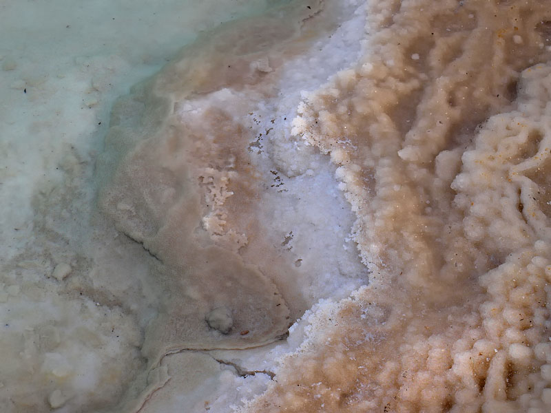 ������� ���������: ������� ����. ������� ����