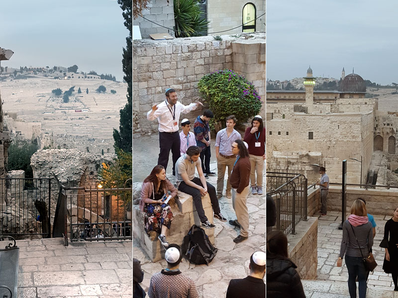 ������� ���������: ������� ��� �������. ���������