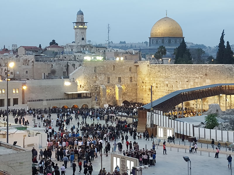 ������� ���������: ����� �����. ������ �����