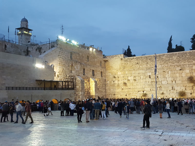 ������� ���������: ������. ����� �������