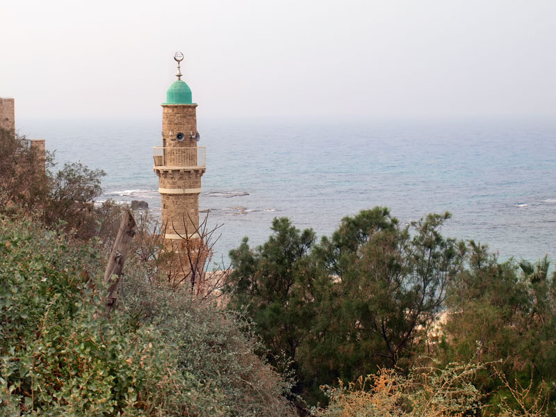 ������� ���������: ������� ���������. ������� ���-����