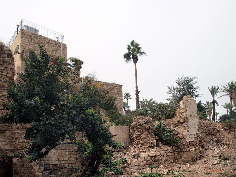 ������� ���������: ����� ��� ������. ����� ������ ����