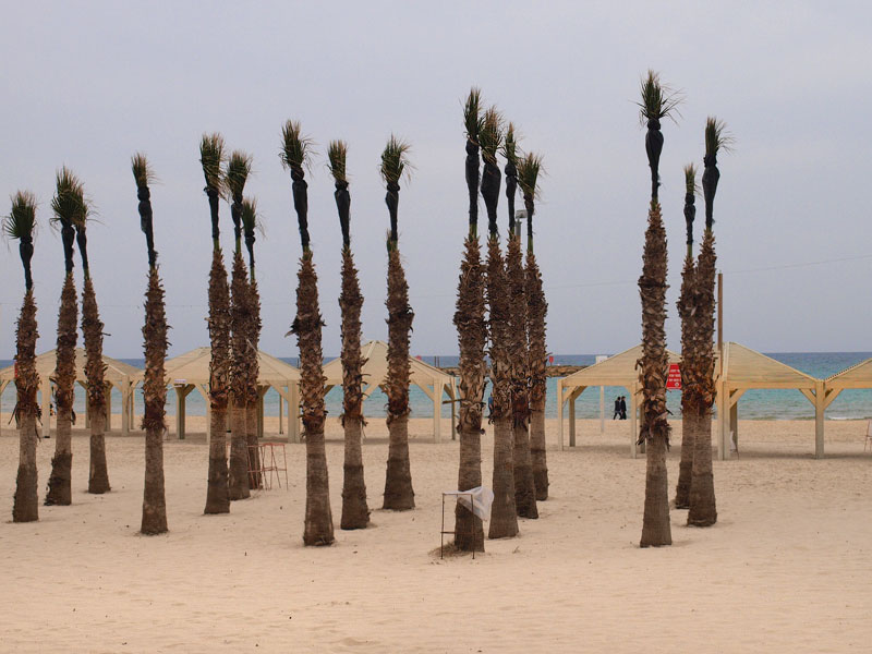 ������� ���������: ������ � ����������. ������� ����