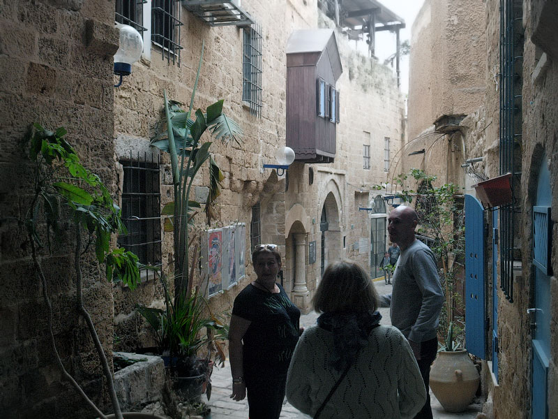 ������� ���������: ����������� ��������. ������ ����