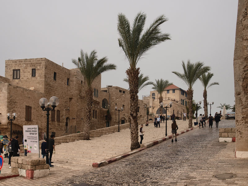 ������� ���������: ���, ������� � ��������. ����