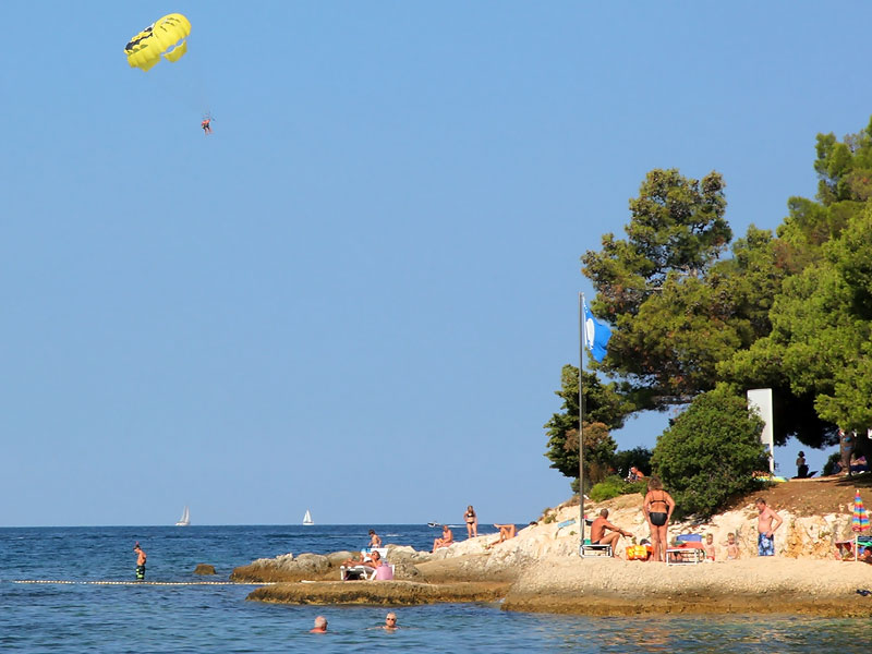 ������� ���������: �����������?. ��������