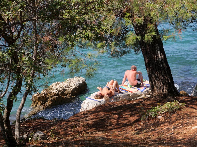 ������� ���������: ������� �����. ����� ������