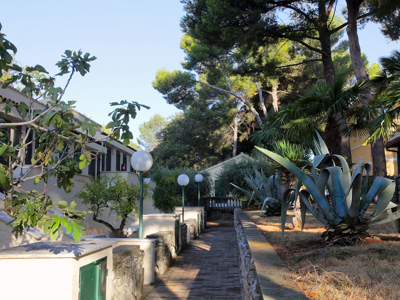 ������� ���������: �����, ������ � �����. Plava Laguna