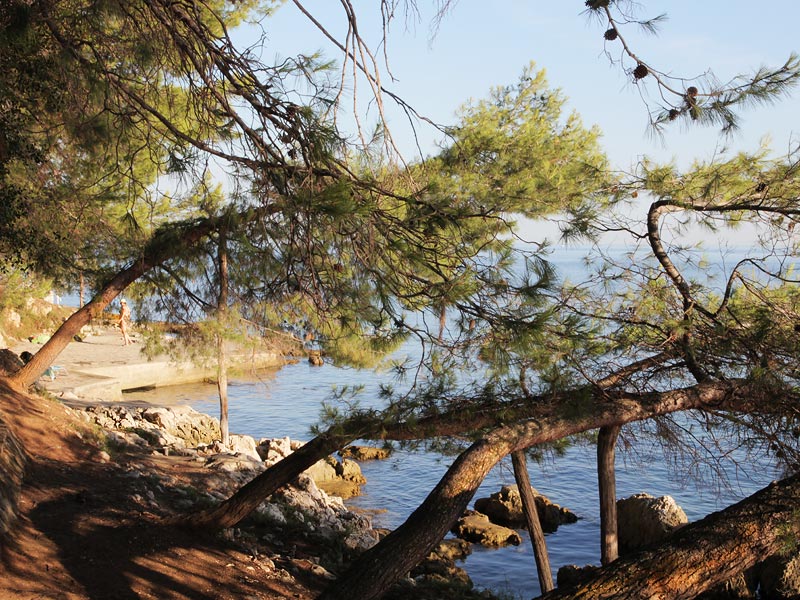 ������� ���������: � ����� ������. ��� ���� ����