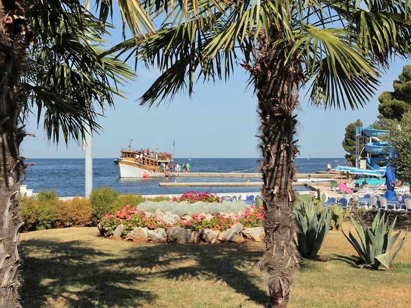 ������� ���������: � ���� ����� �������� �������.... � �������