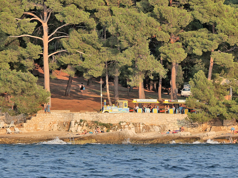 ������� ���������: � ����� ���������� ������. ������ ������