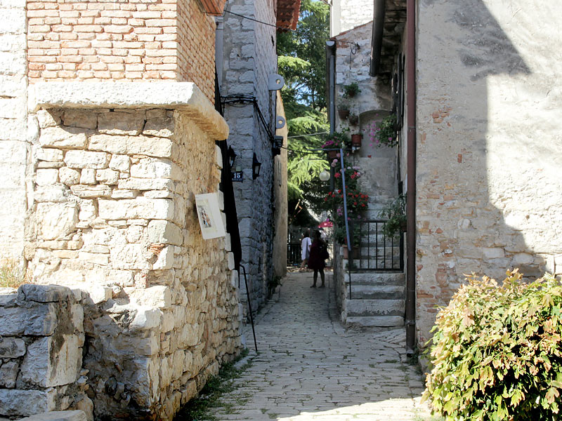 ������� ���������: ����� ������� ���������. ��������