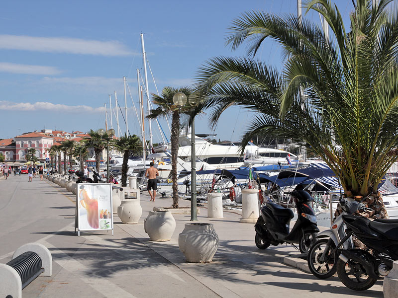 ������� ���������: ������ � �����. ����������