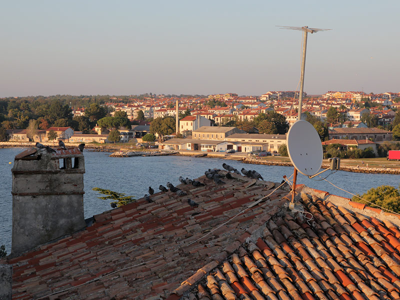 ������� ���������: � ����� ���������� ������. �� �����