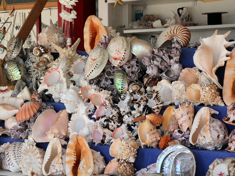 ������� ���������: ��������� �������. �������