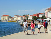 �����, ������������� �����