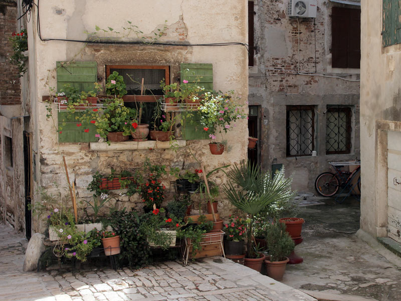 ������� ���������: ������������� ������ �����. � ��������