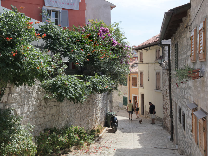 ������� ���������: ������ � ��������� �������. ������ ����