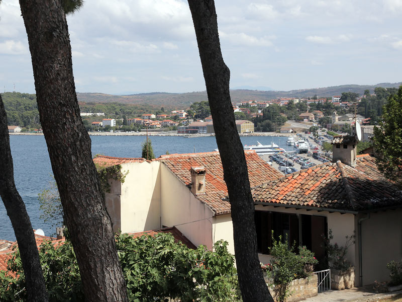 ������� ���������: ��� �������. ����� �����