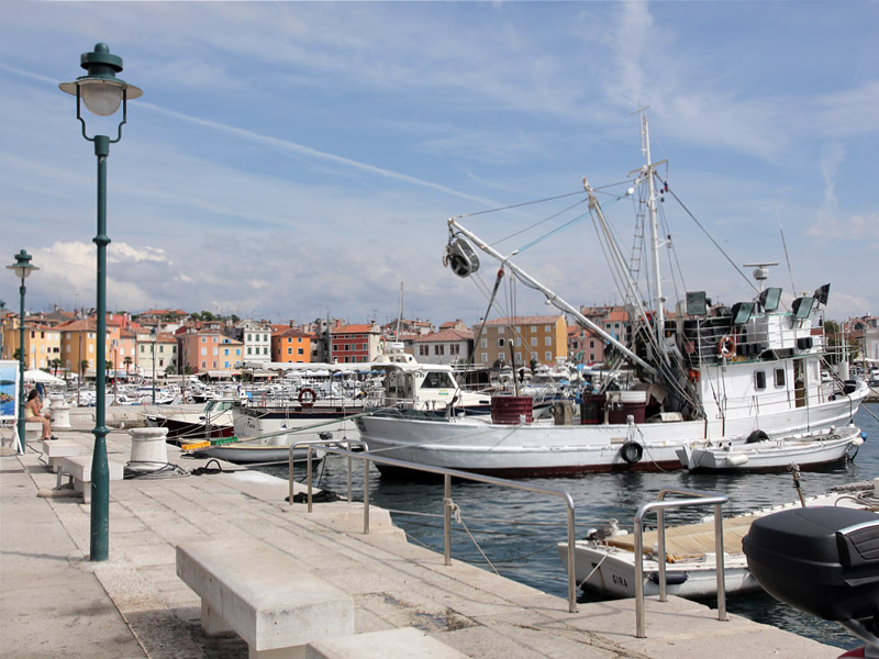 ������� ���������: �� ����������. ������