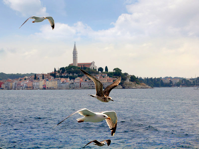 ������� ���������: ����� �� ����. ������ ������