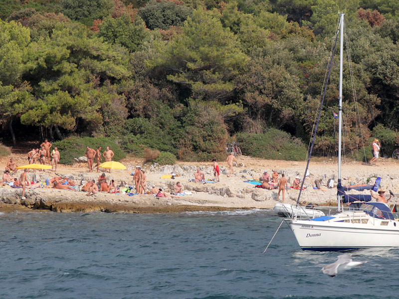 ������� ���������: ������ �� �����. FKK