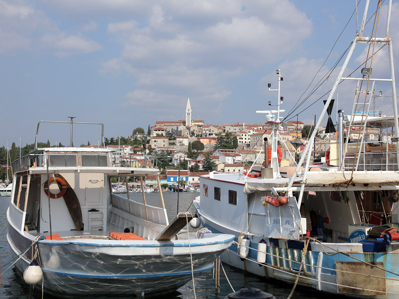 ������� ���������: �������� ����������. �����