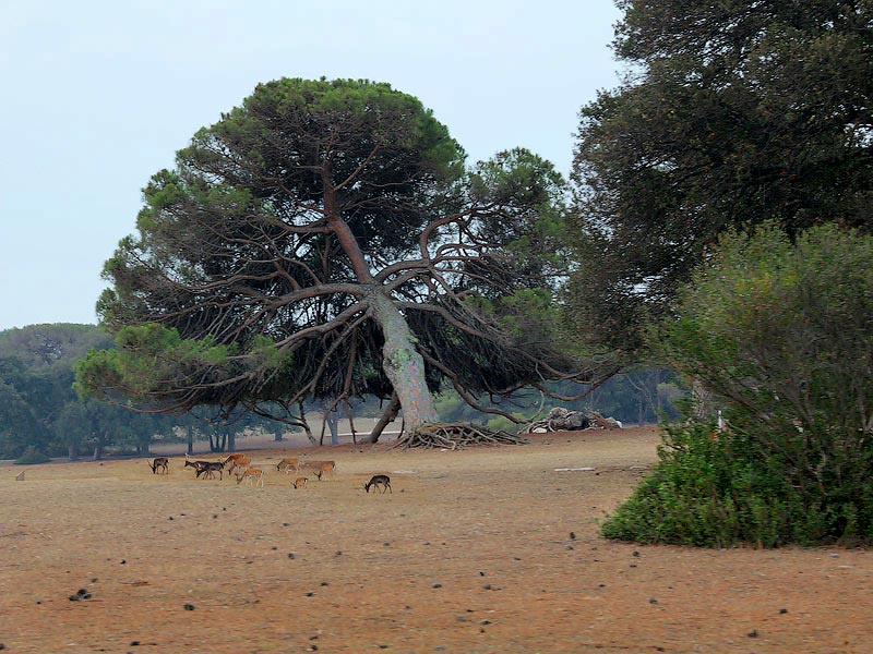 ������� ���������: '������'. �������� �� ������� ������