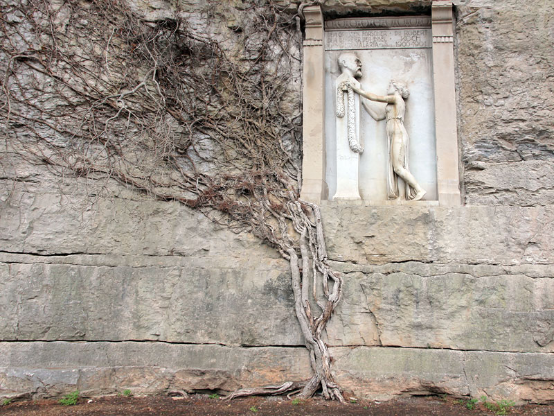 ������� ���������: ������ ��� ������� �������. �������� �� ����������� �������