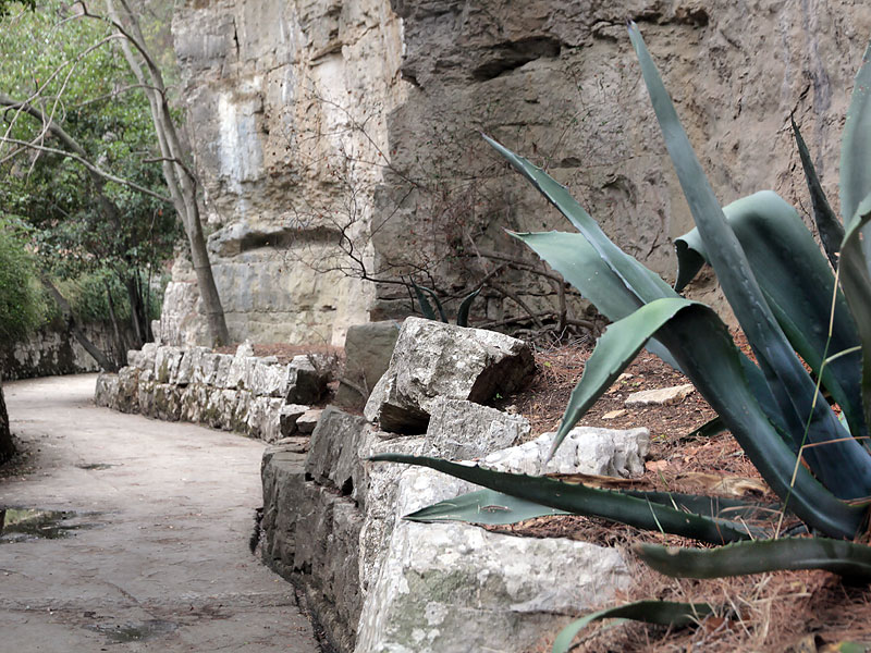 ������� ���������: ������� �����������. ��������� �������