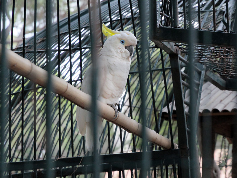 ������� ���������: ������� ����. ����� ��������