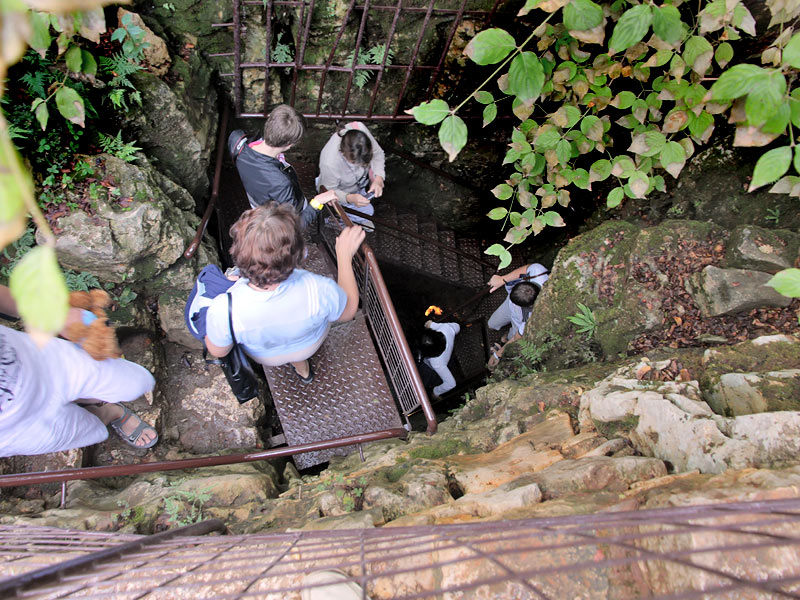 ������� ���������: ���������� � ����������. ������ ��������