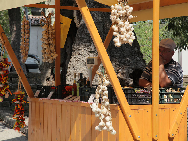 ������� ���������: ����-�... ������� ���� ��������� ���������