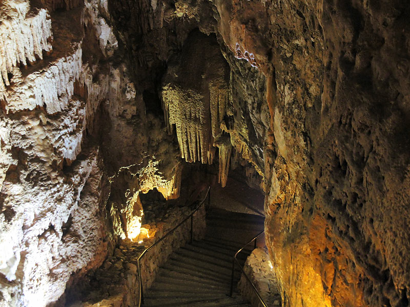 ������� ���������: ����������. � ������