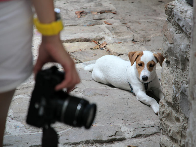 ������� ���������: �������� �������. ������� �� ������