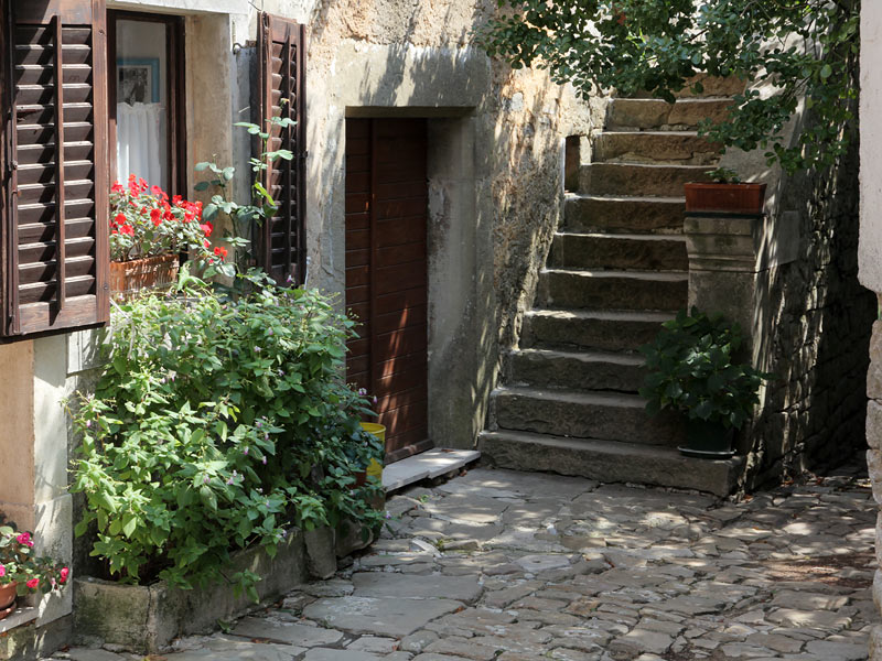 ������� ���������: ����� �������������. � ������