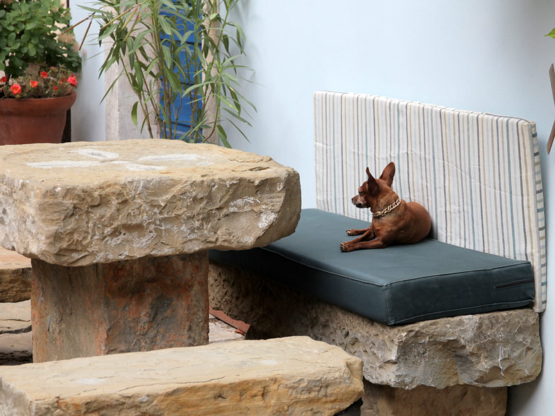 ������� ���������: ����� �� ���. �� �������� ������