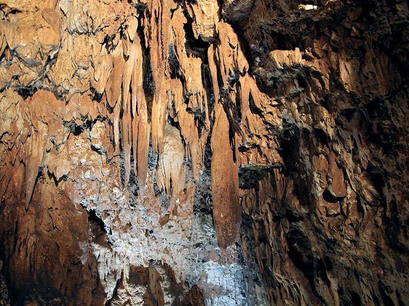 ������� ���������: ������� ������. ����������