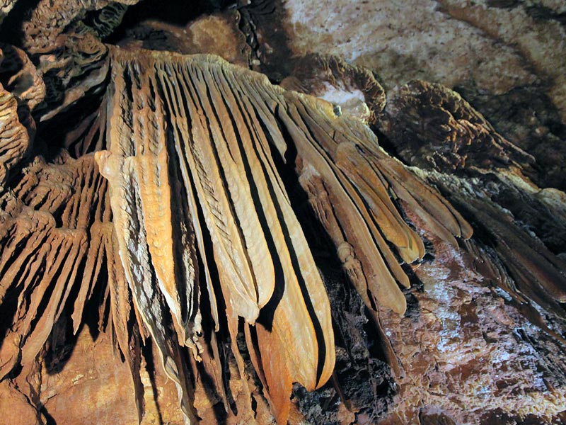 ������� ���������: ������� ����������. ������� ������