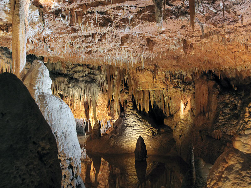 ������� ���������: �������� � ����������. � ����