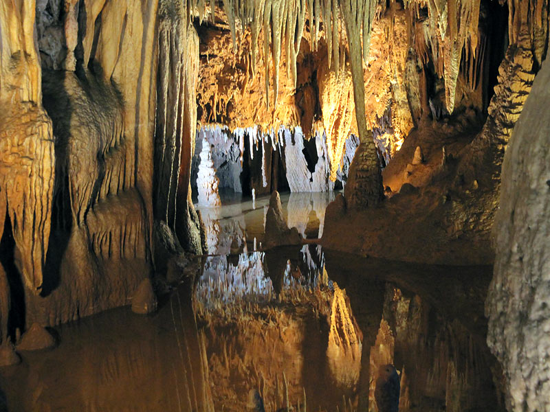 ������� ���������: ��������� �����. � ��� ��������